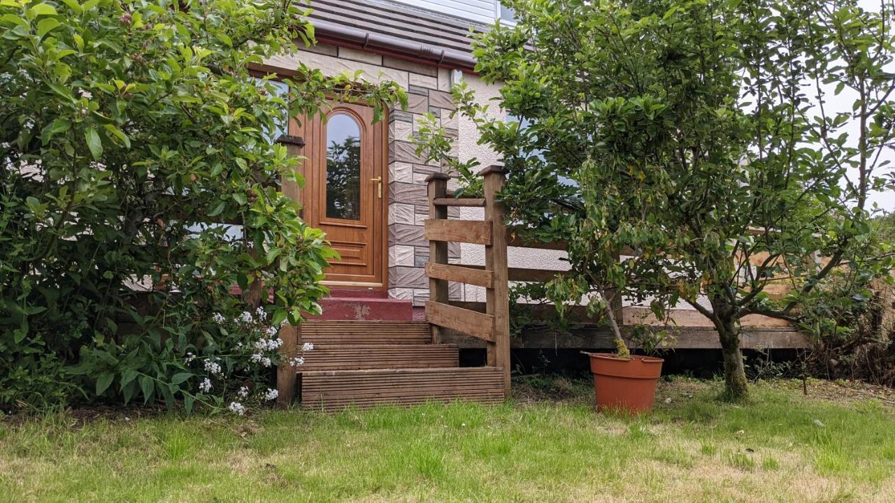 Remuera, North Tolstaヴィラ エクステリア 写真