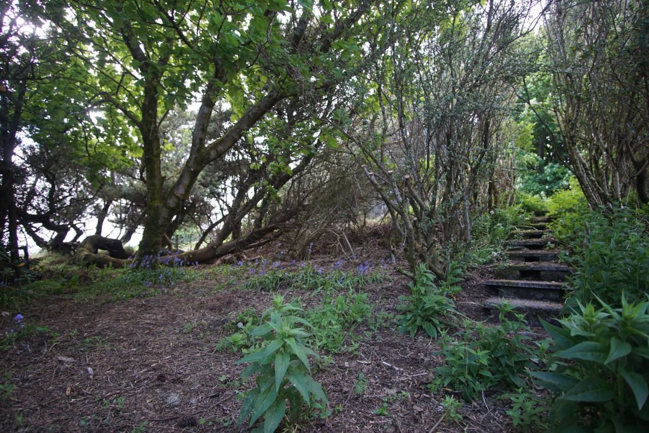 Remuera, North Tolstaヴィラ エクステリア 写真